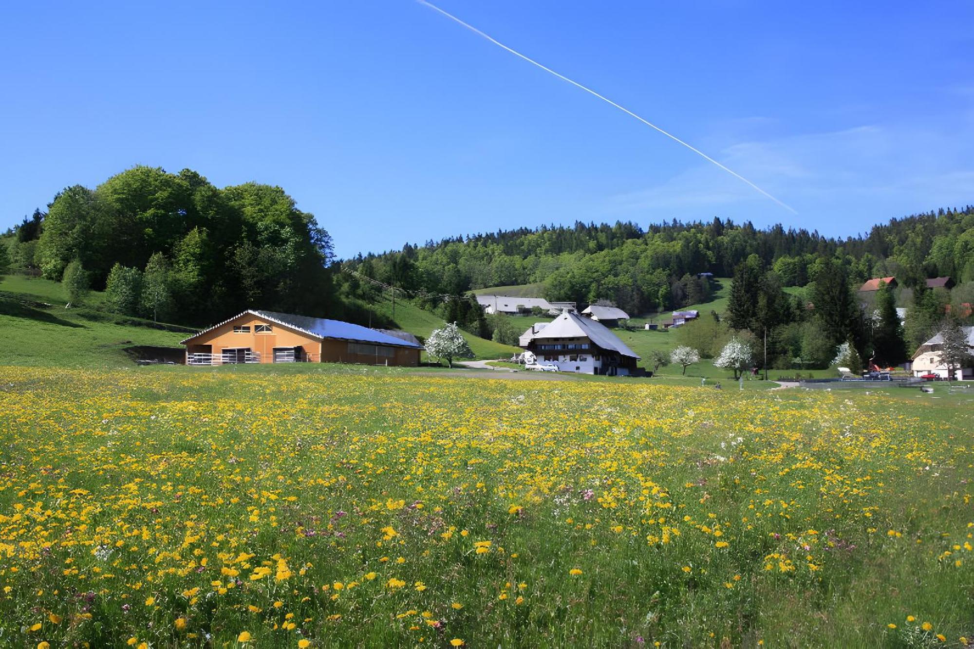 Buerschtehanse-Hof Ibach Екстериор снимка